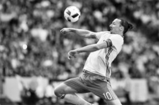 Zlatan,Giới thiệu về Zlatan